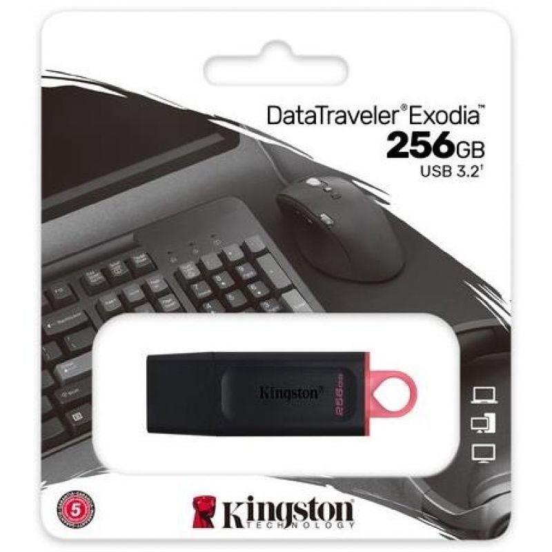 Kingston DataTraveler DTX 256GB USB 3.2 Gen1 Negro