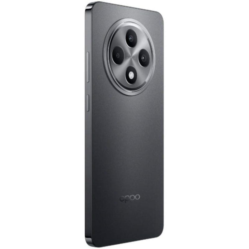 Smartphone Oppo Reno 12 FS 8GB
512GB
6.67"
4G
Gris