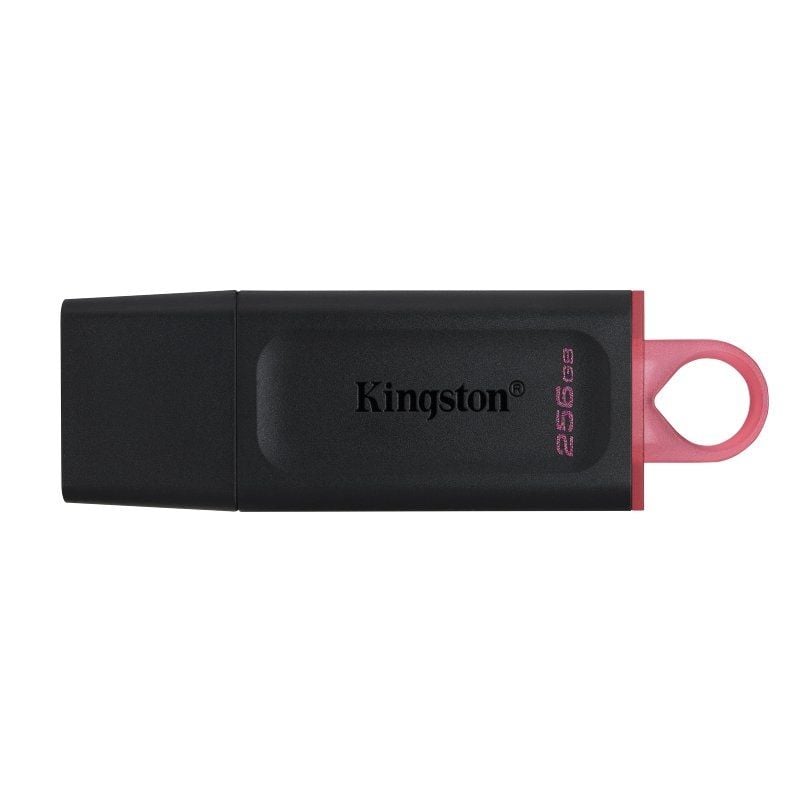 Kingston DataTraveler DTX 256GB USB 3.2 Gen1 Negro