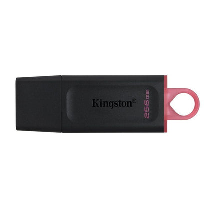 Kingston DataTraveler DTX 256GB USB 3.2 Gen1 Negro