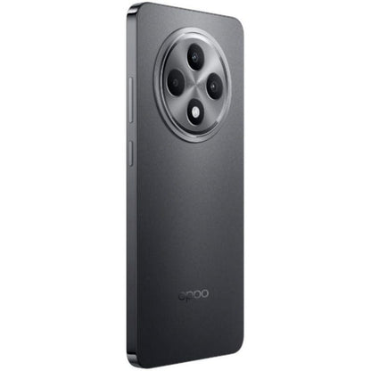 Smartphone Oppo Reno 12 FS 8GB
512GB
6.67"
4G
Gris