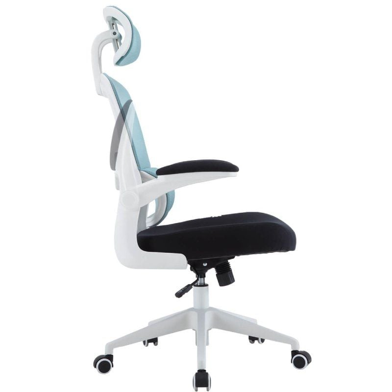 Silla Gaming Woxter Ergo
Azul