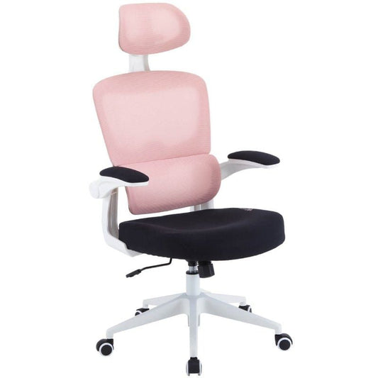 Silla Gaming Woxter Ergo
Rosa